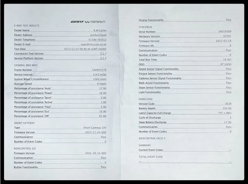 Giant Trance X Advanced E+ 1 25km/h Large Airglow 2023-13